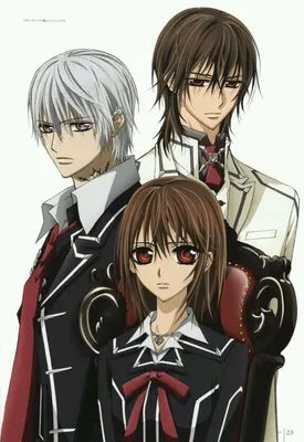 Vampire Knight | Рыцарь-вампир, Вампиры, Рыцарь картинки