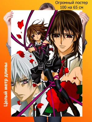 Рыцарь-вампир: Виновный субтитры смотреть аниме онлайн Vampire Knight:  Guilty картинки