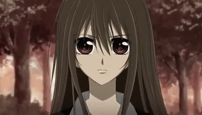 Обои Аниме Vampire Knight, обои для рабочего стола, фотографии аниме,  vampire knight, братья, близнецы, ichiru, kiryu, art, matsuri, hino,  vampire, knight, рыцарь-вампир, zero Обои для рабочего стола, скачать обои  картинки заставки на картинки