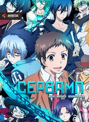 Купить аниме Сервамп ТВ эп.1-12 из 12 (Servamp 2016) + Всадники «Скаред  Зекс» ТВ эп.1-12 из 12 (Scared Rider Xechs 2016) на DVD диске по цене 436  руб., заказать в интернет магазине kupi-vse.RU с доставкой картинки