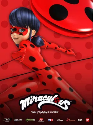 Костюм Леди Баг и Супер Кот: купить детские костюмы из мультфильма  Miraculous Ladybug в интернет магазине Toyszone.ru картинки