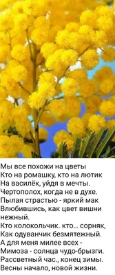 Конец зимы, весны начало, Так лишь бывает в феврале» картина Амельковой  Нинели — купить на ArtNow.ru картинки