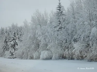 Февраль – конец зимы, дотерпи до весны картинки