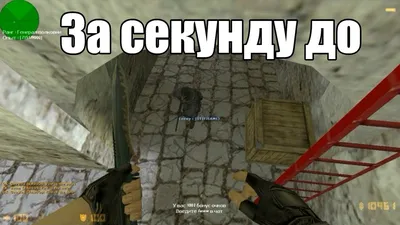 Сашко Counter-Strike террорист свин / смешные картинки и другие приколы:  комиксы, гиф анимация, видео, лучший интеллектуальный юмор. картинки