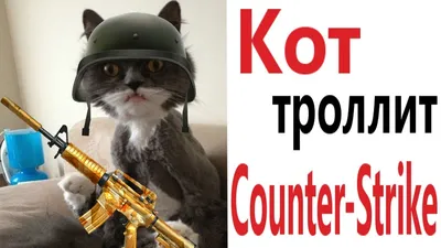 Counter-Strike source / смешные картинки и другие приколы: комиксы, гиф  анимация, видео, лучший интеллектуальный юмор. картинки