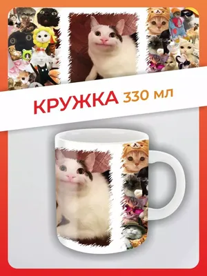 https://pikabu.ru/tag/%D0%9A%D0%BE%D1%82%D1%8B%20%D0%BF%D1%80%D0%B8%D0%BA%D0%BE%D0%BB%D1%8B/hot картинки