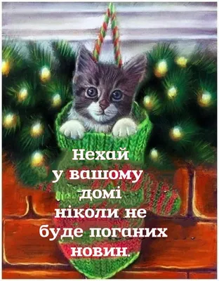 Немного красного котенок с связаны шарф сидит Стоковое Изображение -  изображение насчитывающей насладитесь, великобританское: 166301717 картинки