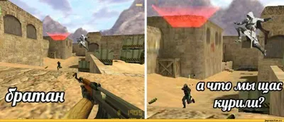 CS 1.6 :: Assassin's Creed / смешные картинки и другие приколы: комиксы,  гиф анимация, видео, лучший интеллектуальный юмор. картинки