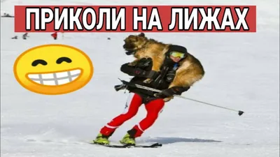 Богиня спорта..🤣Есть тут такие же спортсмены?#всебабыкакбабыамоябогин... |  TikTok картинки