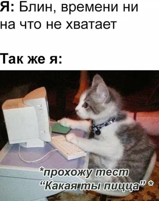 Приколы, юмор и смешные мемы картинки