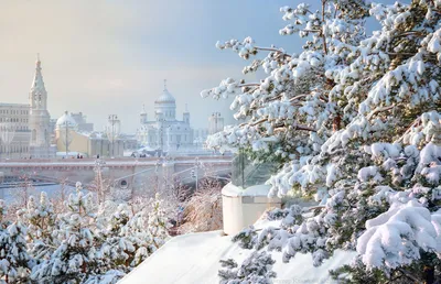 Самая холодная ночь зимы зафиксирована в Москве – Москва 24, 18.01.2021 картинки