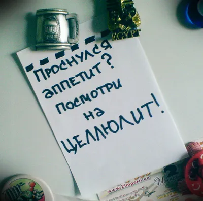 Отзывы о книге «Мотивация к похудению. То, о чем вы еще не думали»,  рецензии на книгу Саши Смелой, рейтинг в библиотеке Литрес картинки