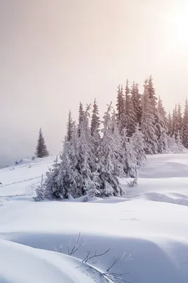 Обои на телефон зима | Зимние сцены, Пейзажи, Зимняя фотография картинки