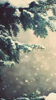 Обои на телефон | Winter wallpaper, Wallpaper backgrounds, Dark wallpaper картинки