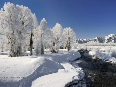 Поздняя осень начало зимы - красивые фото картинки