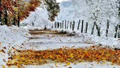 Зимняя сказка скачать фото обои для рабочего стола (картинка 1 из 11) картинки