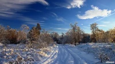 Nature Winter HD Wallpaper картинки