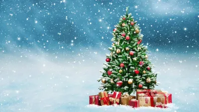 Обои \"Зима и Новый год\" на рабочий стол: самые яркие! | Christmas tree  images, Beautiful christmas trees, Christmas gift guide картинки