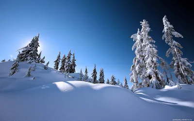 Фон рабочего стола где видно Обои на рабочий стол Зима, Горы, Снег,  Mountains, Зимний ночной пейзаж, Snow, Winter night landscape, Winter,  Starry sky, Звездное небо картинки