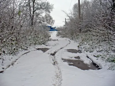 Вот и зима вступила в свои права (у меня в городе) / Я Патриот (ZOG) ::  Кликабельно :: красотища :: зима пришла :: разное / картинки, гифки,  прикольные комиксы, интересные статьи по теме. картинки