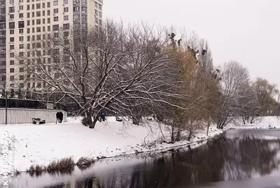 ❄️⛄Зима пришла! Зиме дорогу! Красивое поздравление с зимой!❄️ | Зима,  Разное, Холи картинки