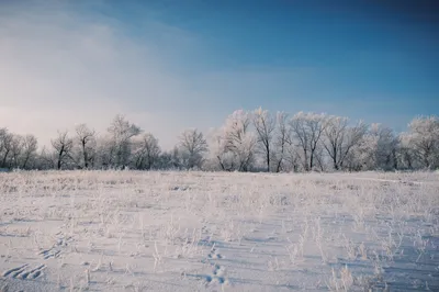 Вот и зима вступила в свои права (у меня в городе) / Я Патриот (ZOG) ::  Кликабельно :: красотища :: зима пришла :: разное / картинки, гифки,  прикольные комиксы, интересные статьи по теме. картинки