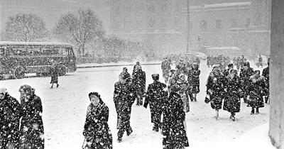 Добрая картинка про зиму. Не замерзайте. Пожелание зимнее. Девочка в шапке.  Иллюстрация зима. О зиме. Скачать карт… | Надписи, Счастливые картинки,  Смешные открытки картинки