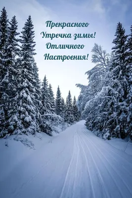 Чебурашковое настроение, зима, снегопад…» — создано в Шедевруме картинки