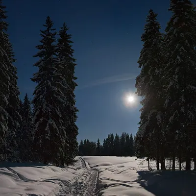 Открытки - Доброй ночи! 🍂❄ А завтра мы проснёмся ЗИМОЙ ... | Facebook картинки