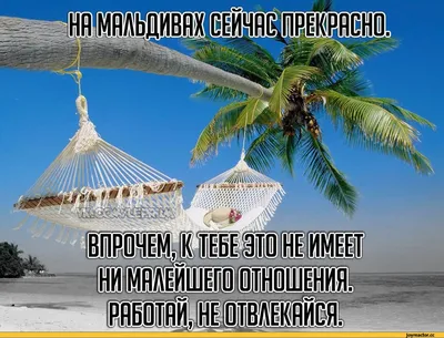 Прикольные картинки \"Хорошего отпуска и отдыха\". Скачайте бесплатно! |  Цитаты про лето, Счастливого пути, Цитаты для альбома картинки