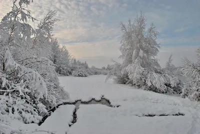 Декабрь-это пятница года!😊С первым днем зимы вас!❄️❄️❄️Пусть она будет для  всех мягкой, доброй и тёплой!⛄️⛄️⛄️ #декабрь#зима#снег | Instagram картинки