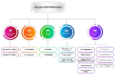 Мотивация - что это такое простыми словами в психологии и менеджменте |  теории и виды мотивации картинки