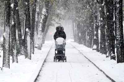 GISMETEO: Итоги зимы в Москве: самая холодная и самая снежная за последнее  десятилетие - О погоде | Новости погоды. картинки