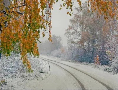 Картинки \"Доброе утро. Понедельник\" (715 шт.) картинки