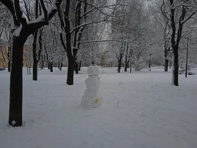 Открытки с пожеланиями на понедельник с надписями и словами картинки