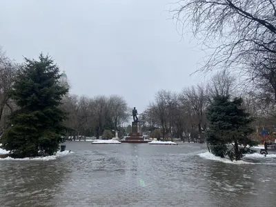 Калининградцам пообещали пик сильных морозов в ночь на понедельник -  Новости Калининграда - Новый Калининград.Ru картинки