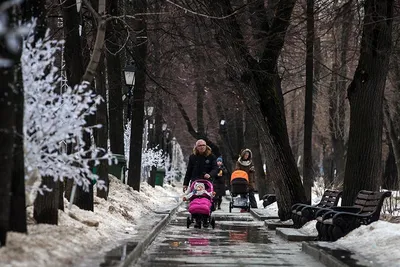 В понедельник в Москву придет настоящая зима :: Новости :: ТВ Центр картинки