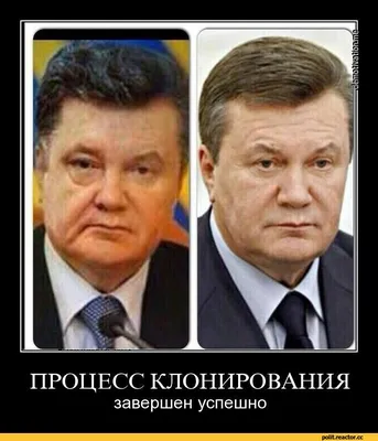 янукович и порошенко. / смешные картинки и другие приколы: комиксы, гиф  анимация, видео, лучший интеллектуальный юмор. картинки