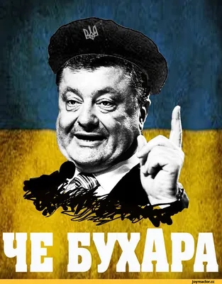 политика порошенко че бухара / смешные картинки и другие приколы: комиксы,  гиф анимация, видео, лучший интеллектуальный юмор. картинки