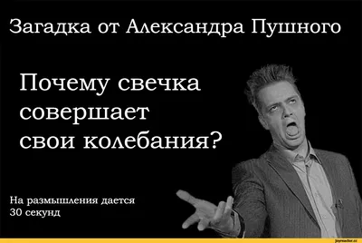 Свежие приколы и просто смешные картинки за последнюю неделю | Канал  отличного настроения! | Дзен картинки