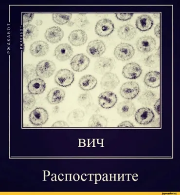 Редактировать описание Добавлена 27 ноября 2011 | Указать место | Яг штрих  код) ссылка на что то / смешные картинки (фото приколы) :: qr code :: тупой  :: QR-код / смешные картинки картинки