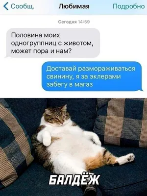 Pin by Yuriy Fedorin on Юмор из жизни девушки | Funny best friend memes,  Friend memes, Best friend jokes картинки