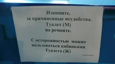 туалет / смешные картинки и другие приколы: комиксы, гиф анимация, видео,  лучший интеллектуальный юмор. картинки