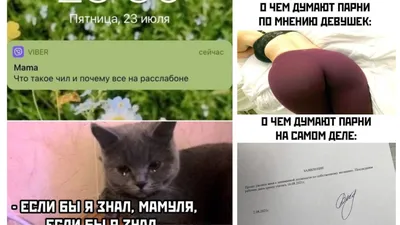 Верните лето: 10+ смешных приколов, посвященных наступившей осени картинки