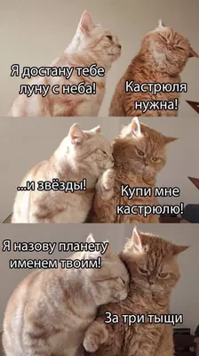 урологвасилевский #ржака #смешно #юмор #укотайка #смехсквозьрвоту #хохма  #угарно #приколы #здоровье #врачи #медики #рниму #сибгму #мгмсу… | Instagram картинки