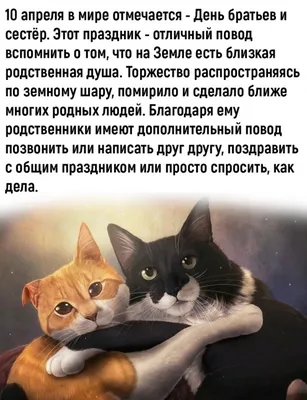 Приколы , шутки , юмор и прикольные картинки а так же мемы , демотиваторы.  Часть 3 | Borkislots | Дзен картинки