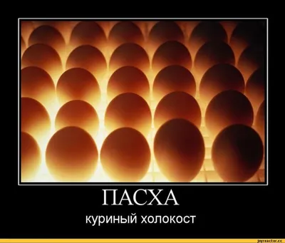 Мемы о Пасхе 2023, анекдоты, приколы и шутки о празднике Христово  Воскресение - Телеграф картинки