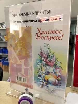 В преддверии Пасхи эксперты Роскачества подведут итоги исследования яиц –  Новости ритейла и розничной торговли | Retail.ru картинки