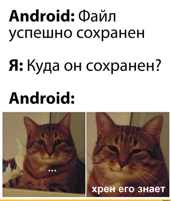 Android / смешные картинки и другие приколы: комиксы, гиф анимация, видео,  лучший интеллектуальный юмор. картинки