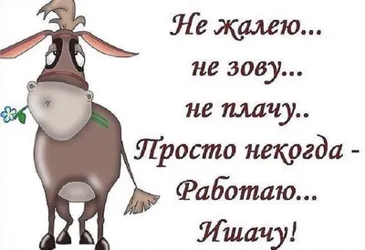 Хочется карьеры, а не быть вечным студентом»: 7 историй о том, как  совмещать работу и картинки